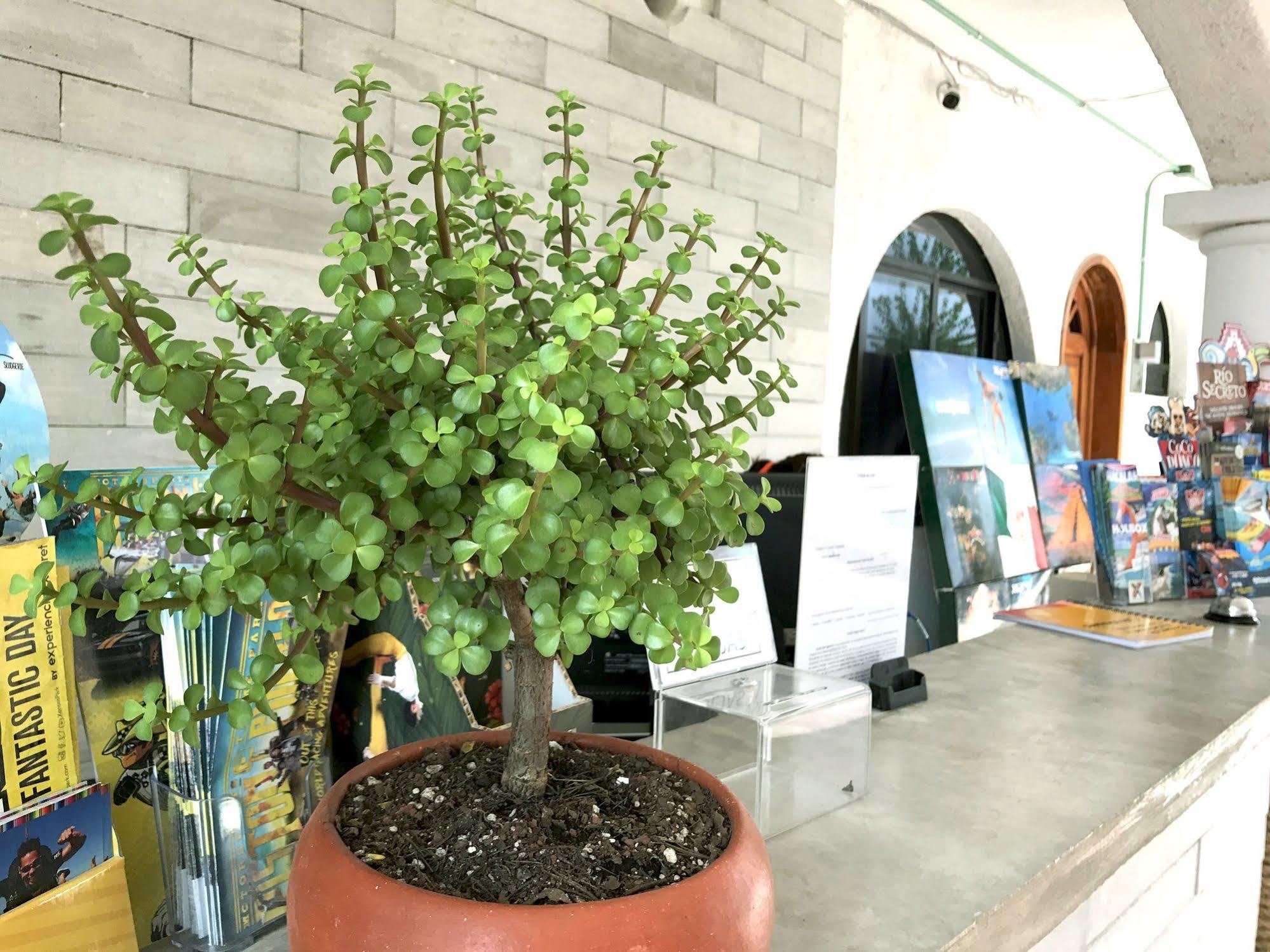 Hotel Villas San Ignacio Playa del Carmen Luaran gambar